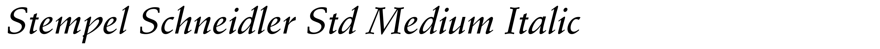 Stempel Schneidler Std Medium Italic